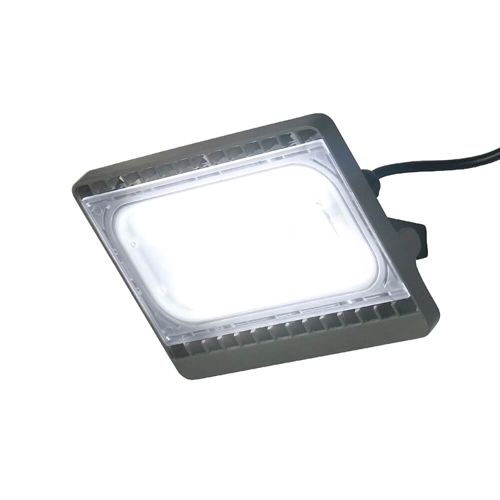 backyard flood light